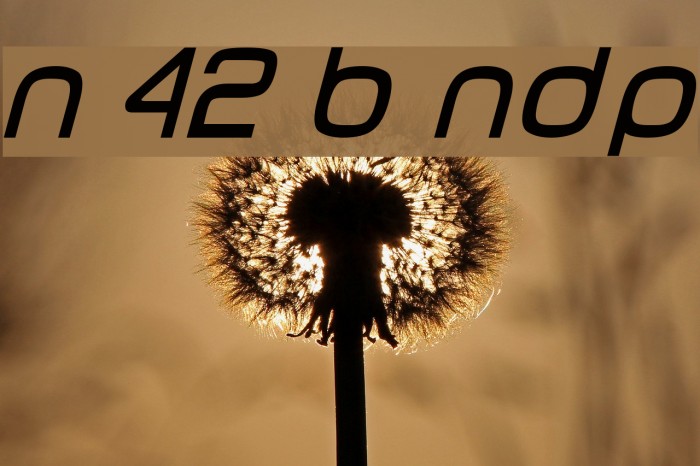 Number 42 Bus NDP Font examples