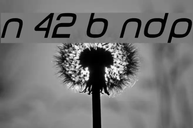 Number 42 Bus NDP Fuentes examples