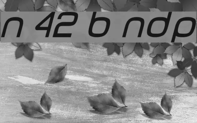 Number 42 Bus NDP Fuentes examples