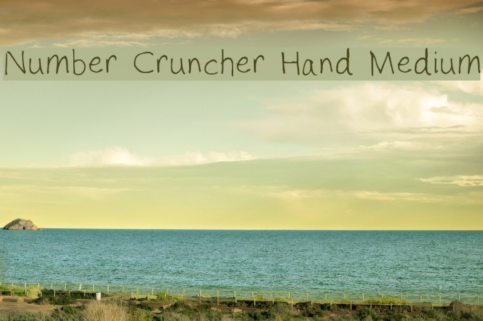 Number Cruncher Hand Medium Example 2