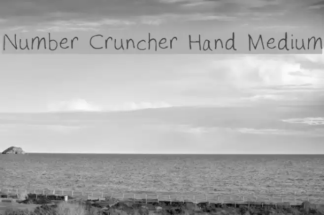 Number Cruncher Hand Medium Font examples