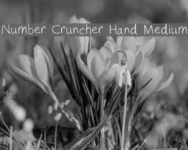 Number Cruncher Hand Medium Font examples