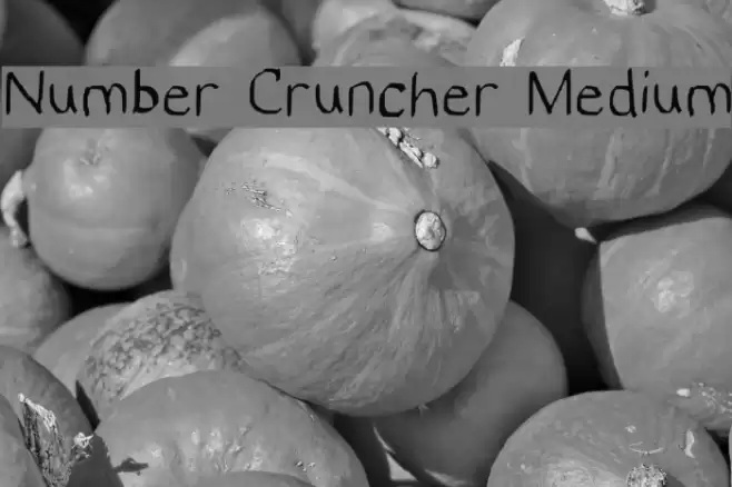 Number Cruncher Medium Font examples