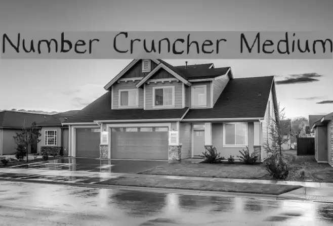 Number Cruncher Medium Font examples