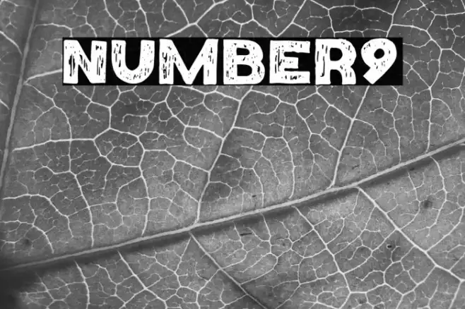 Number9 Example 1