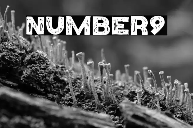 Number9 Example 2