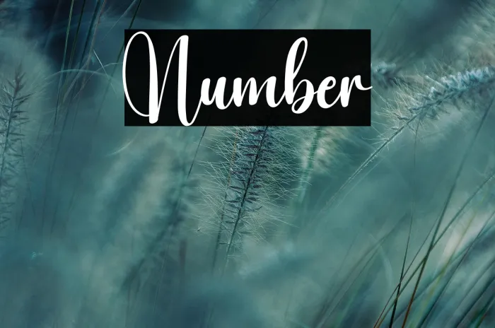 Number Example 3