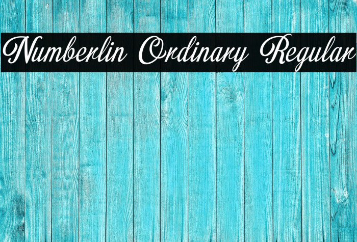 Numberlin Ordinary Regular Example 1