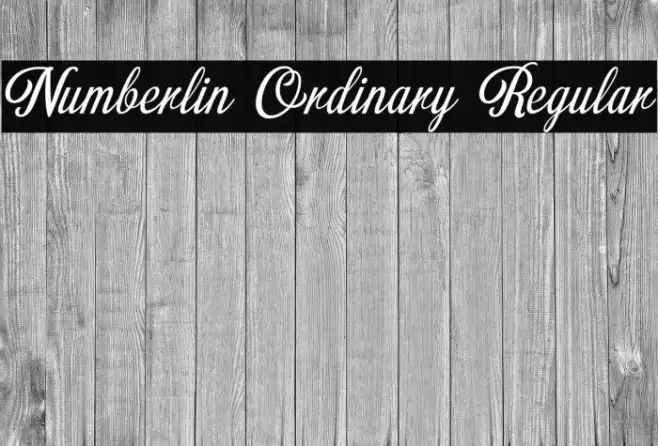 Numberlin Ordinary Regular Example 1