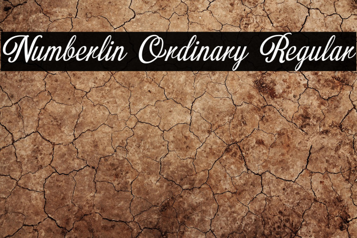 Numberlin Ordinary Regular Example 3