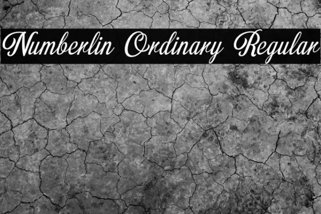 Numberlin Ordinary Regular Example 3