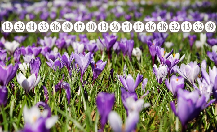 Numberpile-Regular Font examples