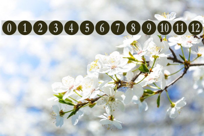 Numberpile Font examples