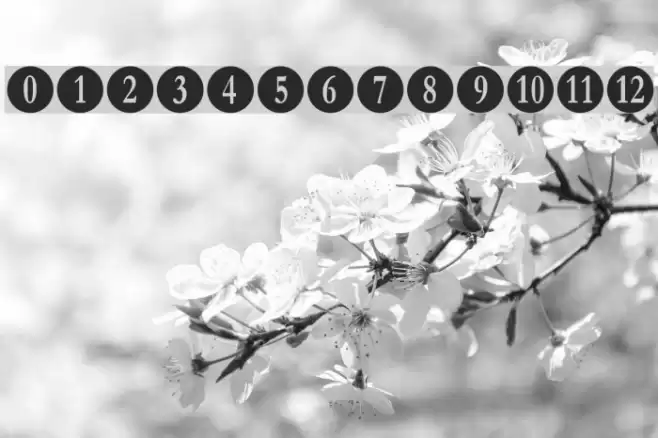 Numberpile Schriftart examples