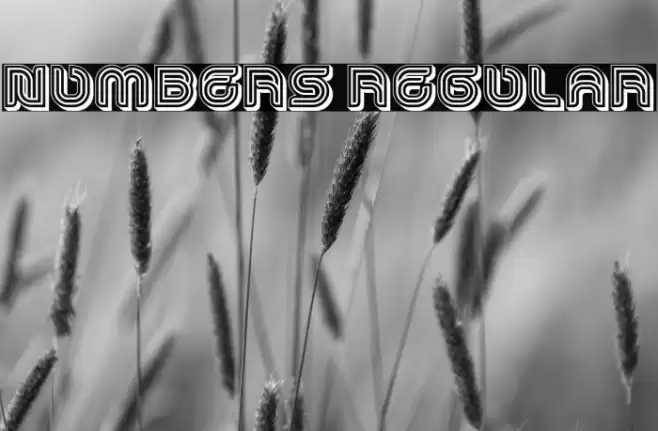 Numbers Regular Font examples