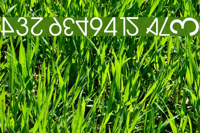 NumerO Шрифта examples