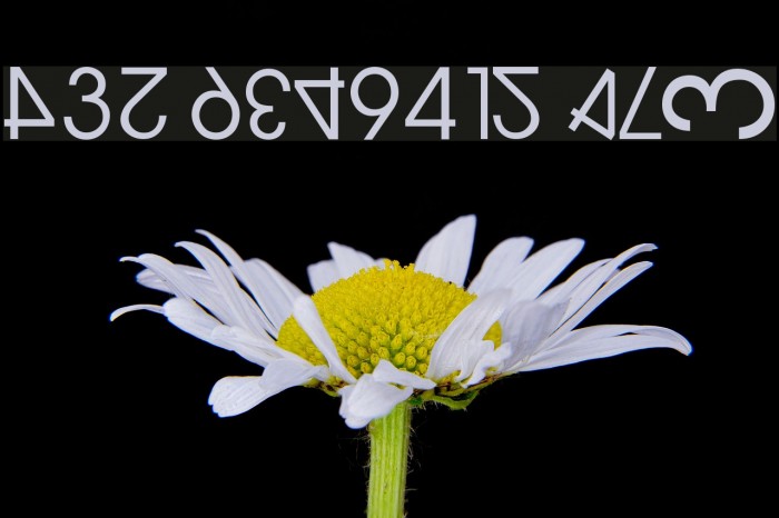 NumerO Шрифта examples