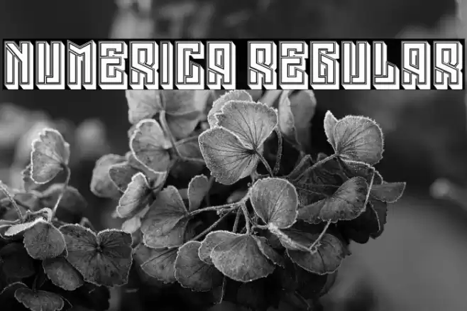 Numerica Regular Font examples