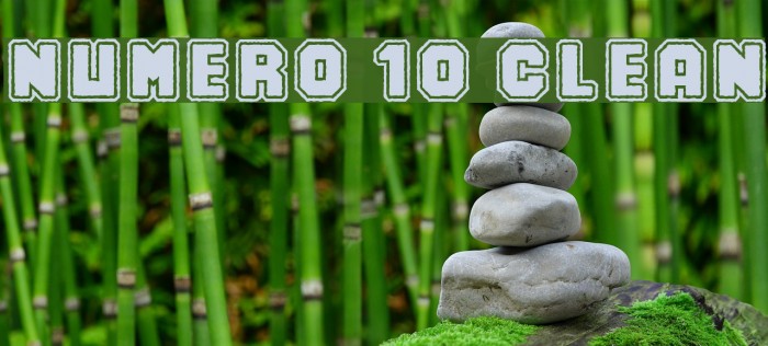 Numero 10 Clean フォント examples