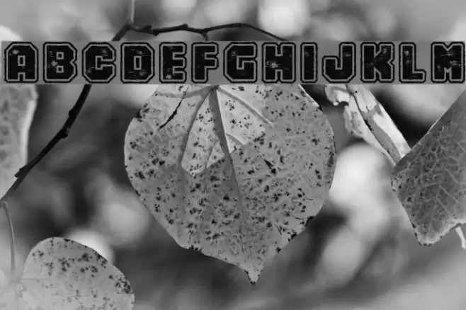 Numero 10 Font examples