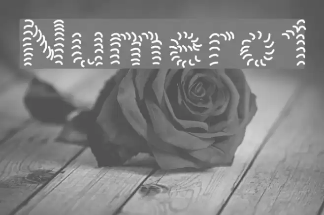 Numero1 Font examples