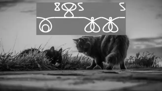 Numikki Font examples