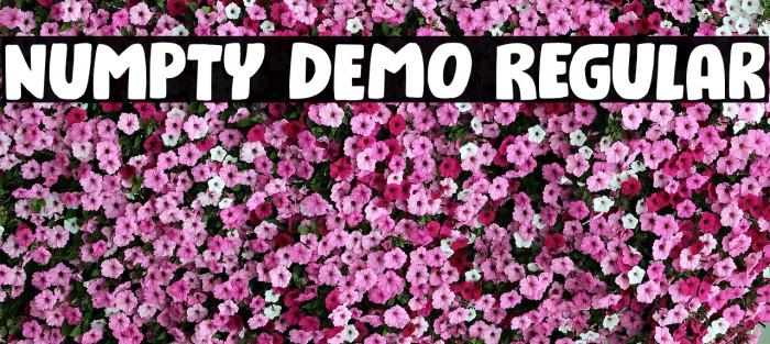 Numpty DEMO Regular Font examples