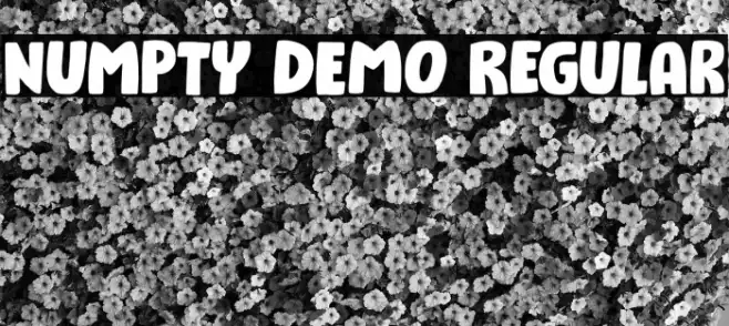 Numpty DEMO Regular Example 3