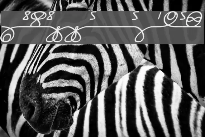 Numukki  Italic Font examples