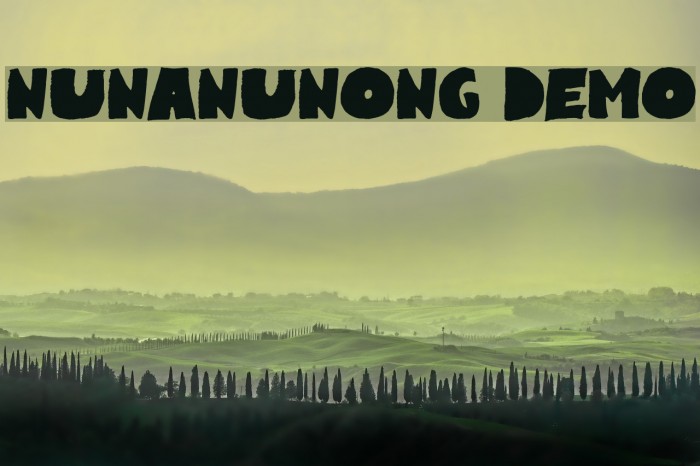 Nunanunong Demo Example 2