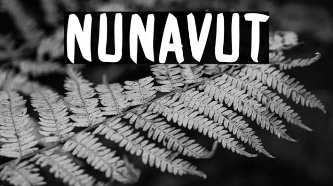 Nunavut Example 2