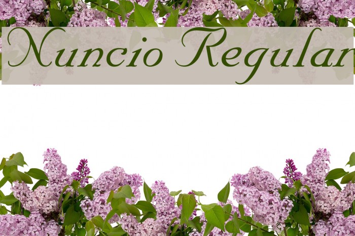 Nuncio Regular Font examples
