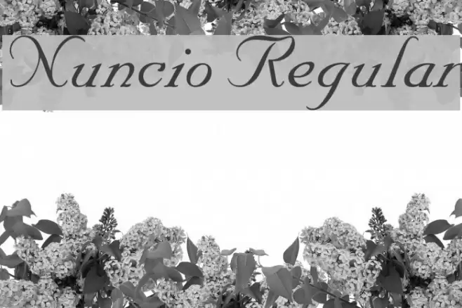 Nuncio Regular خط examples