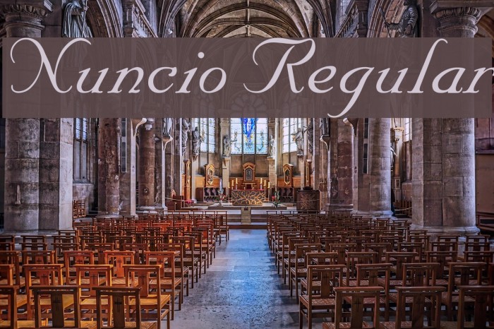 Nuncio Regular Font examples
