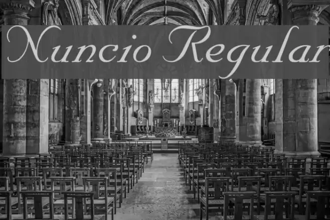 Nuncio Regular خط examples