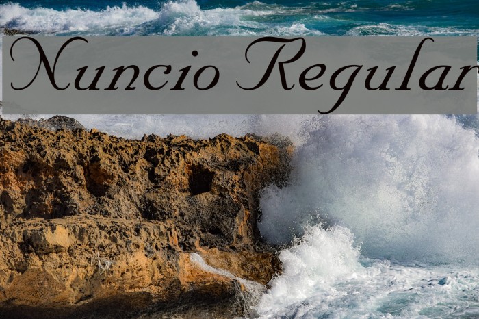 Nuncio Regular Font examples