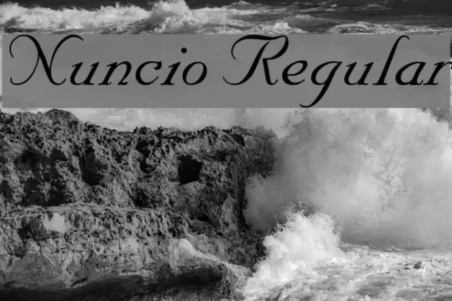 Nuncio Regular خط examples