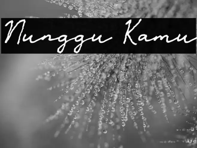 Nunggu Kamu 字体 examples