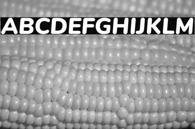 Nunito Black Italic Font examples