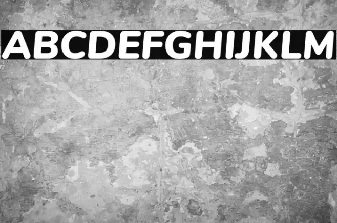 Nunito Black Italic Font examples