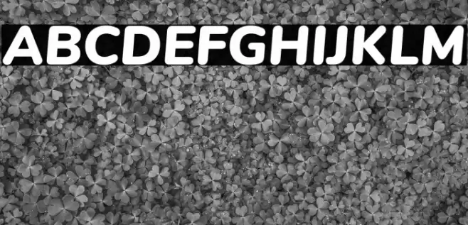 Nunito Black Italic Font examples