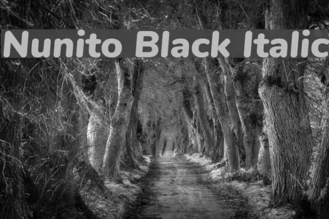 Nunito Black Italic Font examples