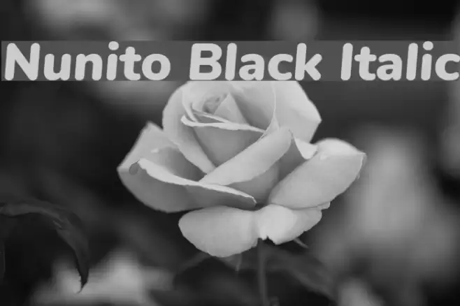 Nunito Black Italic Font examples
