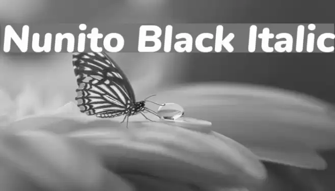Nunito Black Italic Font examples