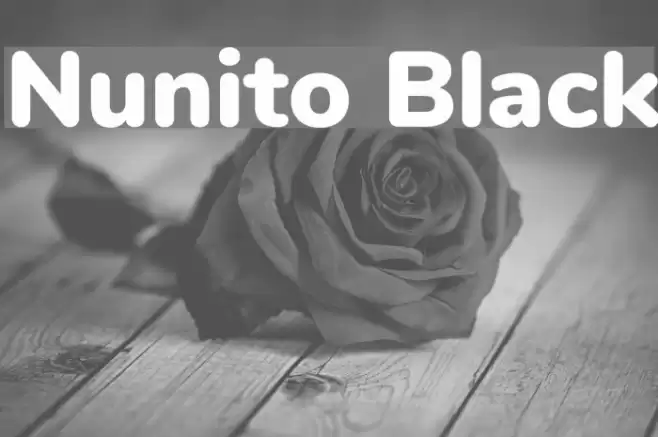 Nunito Black Font examples