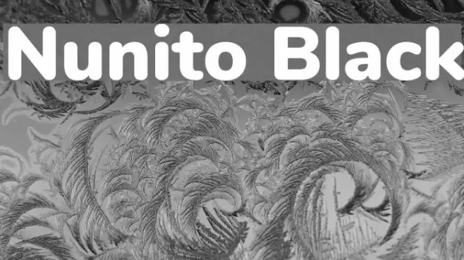 Nunito Black Font examples