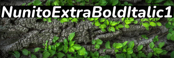 Nunito ExtraBold Italic1 Example 2
