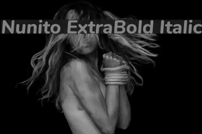 Nunito ExtraBold Italic Font examples