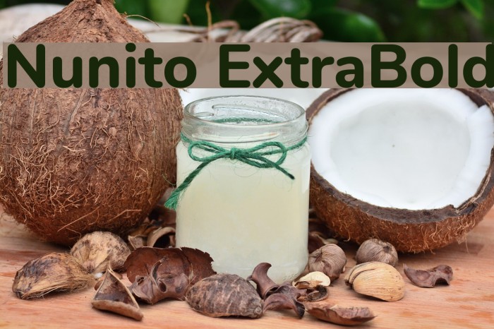 Nunito ExtraBold Font examples