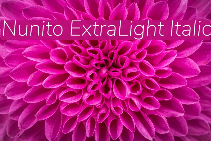 Nunito ExtraLight Italic Font examples